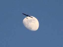 fliegen0903 66